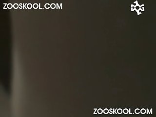 Dog Fuck You Tik Tok