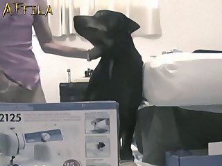 Dog Fuck Korean Girl