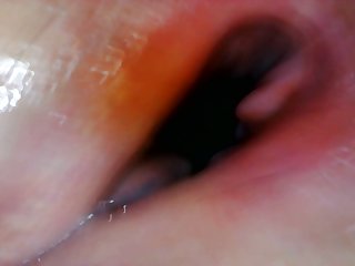 Dog Fuck Compilations