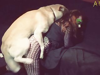 Horse Animal Sex Video