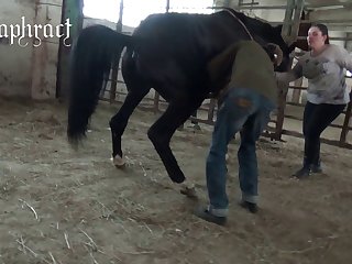 Team pussia  Petlove Masha 1 Part 1