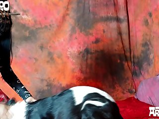 Tigerlily Hard Dog Life 1