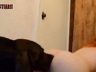 Art Of Zoo Project Desert Storm