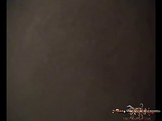 Forced Animal Sex Stories