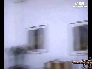 Golden Retriever Zoo Porn