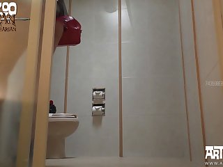 Saint Bernard Zoo Porn