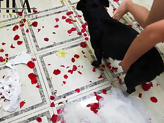 Shemale With Animal Sex