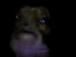 Man Sucking Dog Porn