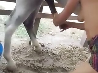 Mexican Wife Jerking Horse Cock