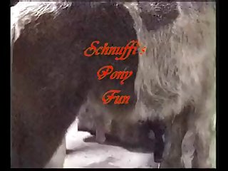 Schnuffis Pony Fun 1