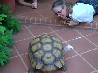 Zoophilie Free Video