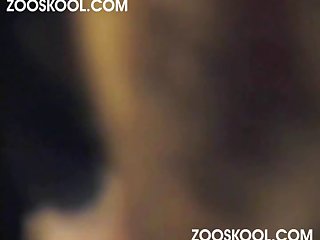 Luxuretv.com Dog Xxx