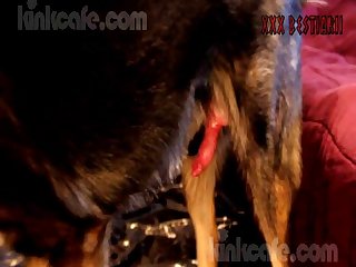 Xxx Zoo